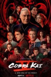 Download Cobra Kai – Netflix Original (2022) Season 5 Dual Audio