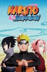 Download Naruto Shippuden (Season 1 – 6) Hindi Dubbed